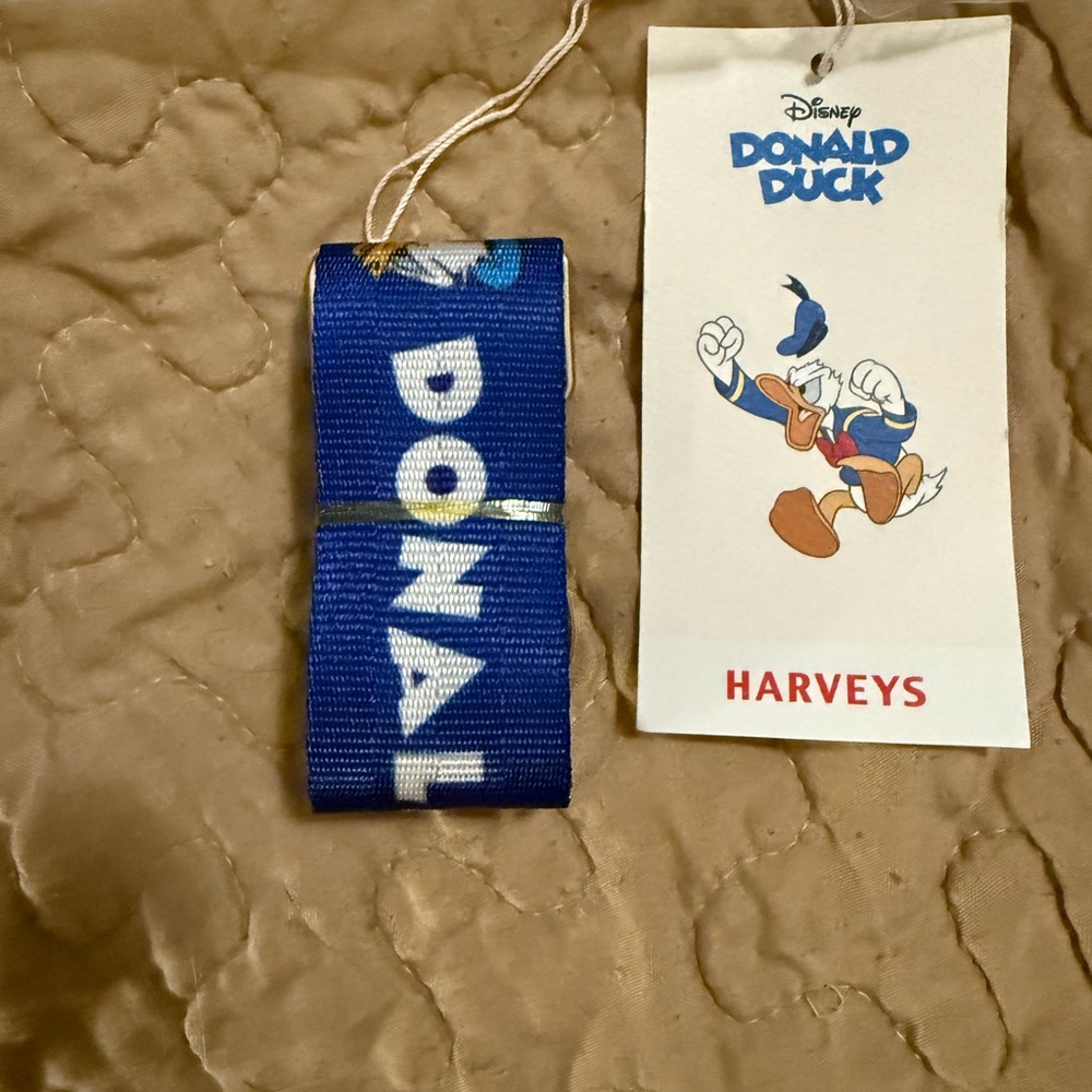 Harveys Blue Donald Duck Keychain